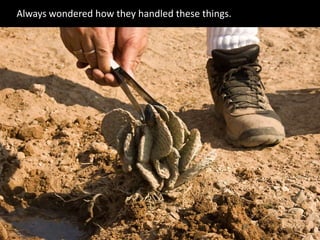 Always wondered how they handled these things.