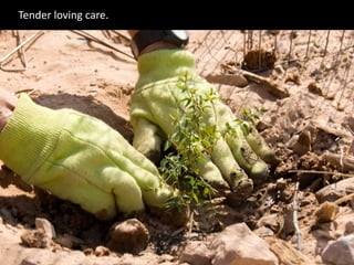 Tender loving care.