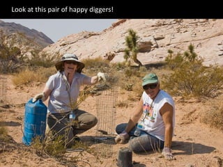 Look at this pair of happy diggers!