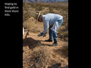 Hoping to find gold in them there hills.