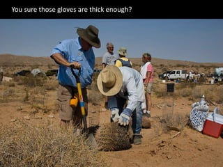 You sure those gloves are thick enough?