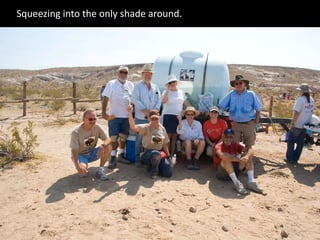 Squeezing into the only shade around.