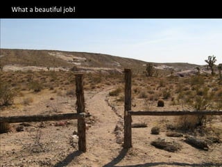 What a beautiful job!