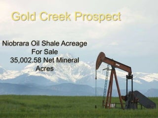 Gold Creek Prospect
Niobrara Oil Shale Acreage
For Sale
35,002.58 Net Mineral
Acres

 