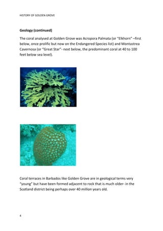 HISTORY 
OF 
GOLDEN 
GROVE 
Geology 
(continued) 
The 
coral 
analysed 
at 
Golden 
Grove 
was 
Acropora 
Palmata 
(or 
“E...