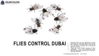 FLIES CONTROL DUBAI Generally flies are not aggressive insects
and those we encounter day to day do not
bite. However, a fly infestation in your home
can still pose a serious risk in terms of
health and safety.
There are over 120,000 species of flies
worldwide. Flies are considered pests
because they pose a health risk to humans,
pets and livestock.
HTTP://WWW.GOLDENPESTUAE.COM +971 4 272 5392
 