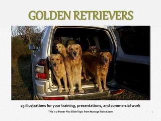 1
|
Golden Retrievers
Manage Train Learn Power Pics
25 illustrations for your training, presentations, and commercial work
This is a Power Pics SlideTopic from ManageTrain Learn
GOLDEN RETRIEVERS
 