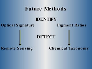 Future Methods IDENTIFY Optical Signature   Pigment Ratios DETECT Remote Sensing    Chemical Taxonomy 