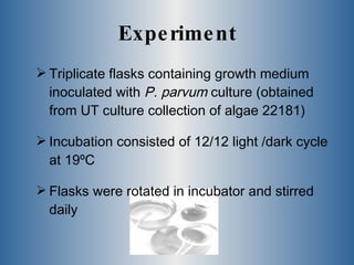 Experiment Triplicate flasks containing growth medium inoculated with  P. parvum  culture (obtained from UT culture collection of algae 22181) Incubation consisted of 12/12 light /dark cycle at 19ºC Flasks were rotated in incubator and stirred daily 