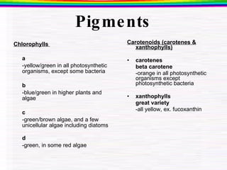 Pigments Chlorophylls  a   -yellow/green in all photosynthetic organisms, except some bacteria b -blue/green in higher plants and algae c -green/brown algae, and a few unicellular algae including diatoms d -green, in some red algae Carotenoids (carotenes & xanthophylls) carotenes beta carotene  -orange in all photosynthetic organisms except photosynthetic bacteria xanthophylls great variety -all yellow, ex. fucoxanthin  *Specific algal groups contain diagnostic pigments 