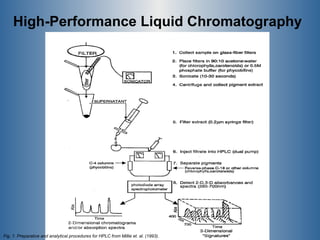 High-Performance Liquid Chromatography   Fig. 1. Preparative and analytical procedures for HPLC from Millie et. al. (1993). 