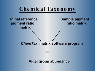 Chemical Taxonomy Initial reference pigment ratio  matrix Sample pigment ratio matrix ChemTax   matrix software program = Algal group abundance 