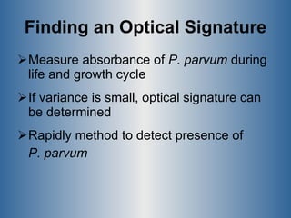 Finding an Optical Signature Measure absorbance of  P. parvum  during life and growth cycle  If variance is small, optical signature can be determined Rapidly method to detect presence of  P. parvum 