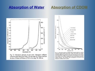 Absorption of Water Absorption of CDOM 