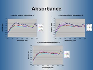 Absorbance 