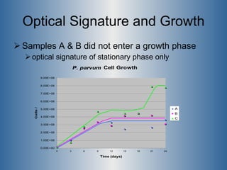 Optical Signature and Growth Samples A & B did not enter a growth phase optical signature of stationary phase only 
