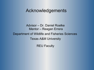 Acknowledgements Advisor – Dr. Daniel Roelke Mentor – Reagan Errera Department of Wildlife and Fisheries Sciences  Texas A&M University REU Faculty 