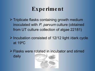 Experiment <ul><li>Triplicate flasks containing growth medium inoculated with  P. parvum  culture (obtained from UT cultur...