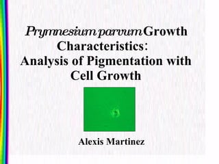 Prymnesium   parvum  Growth Characteristics:  Analysis of Pigmentation with Cell Growth <ul><li>Alexis Martinez </li></ul>