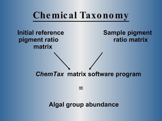Chemical Taxonomy <ul><li>Initial reference pigment ratio  matrix </li></ul><ul><li>Sample pigment ratio matrix </li></ul>...