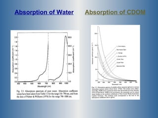 <ul><li>Absorption of Water </li></ul><ul><li>Absorption of CDOM </li></ul>