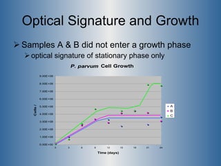 Optical Signature and Growth <ul><li>Samples A & B did not enter a growth phase </li></ul><ul><ul><li>optical signature of...