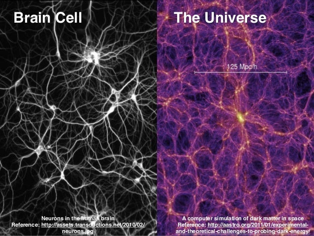 Image result for neurons and universe