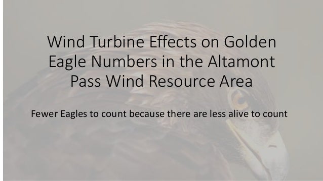 Golden Eagle Decline May 10 2016