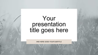 AND HERE GOES YOUR SUBTITLE
Your
presentation
title goes here
 