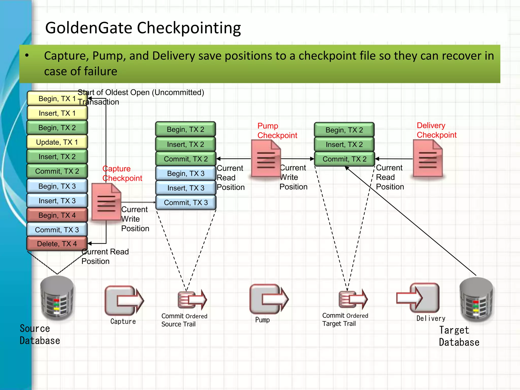 • Capture, Pump, and Delivery save positions to a checkpoint file so they can recover in
case of failure
GoldenGate Checkpointing
Capture DeliveryPump
Commit Ordered
Source Trail
Commit Ordered
Target Trail
Source
Database
Target
Database
Begin, TX 1
Insert, TX 1
Begin, TX 2
Update, TX 1
Insert, TX 2
Commit, TX 2
Begin, TX 3
Insert, TX 3
Begin, TX 4
Commit, TX 3
Delete, TX 4
Begin, TX 2
Insert, TX 2
Commit, TX 2
Begin, TX 3
Insert, TX 3
Commit, TX 3
Begin, TX 2
Insert, TX 2
Commit, TX 2
Start of Oldest Open (Uncommitted)
Transaction
Current Read
Position
Capture
Checkpoint
Current
Write
Position
Current
Read
Position
Pump
Checkpoint
Current
Write
Position
Current
Read
Position
Delivery
Checkpoint
 