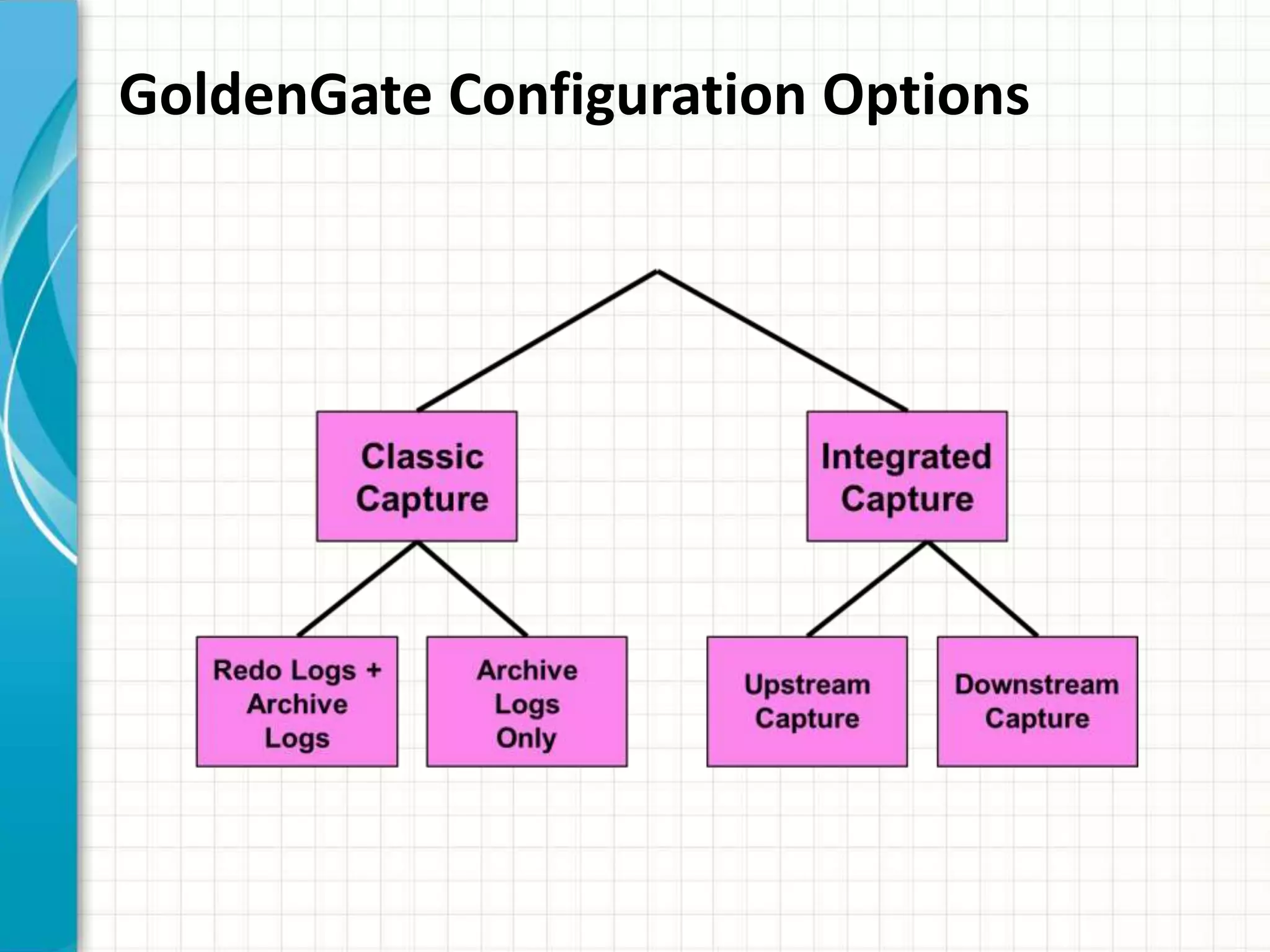 GoldenGate Configuration Options
 