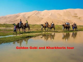 Golden Gobi and Kharkhorin tour
 