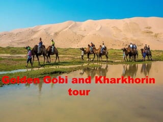 Golden Gobi and Kharkhorin
tour
 