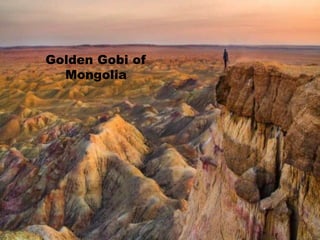 Golden Gobi of
Mongolia
 