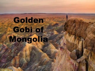 Golden
Gobi of
Mongolia
 