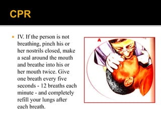  IV. If the person is not
breathing, pinch his or
her nostrils closed, make
a seal around the mouth
and breathe into his or
her mouth twice. Give
one breath every five
seconds - 12 breaths each
minute - and completely
refill your lungs after
each breath.
 