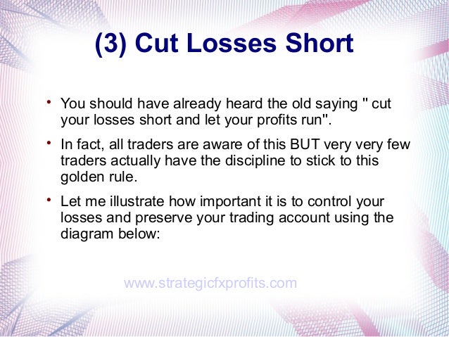 Forex trading money management rules