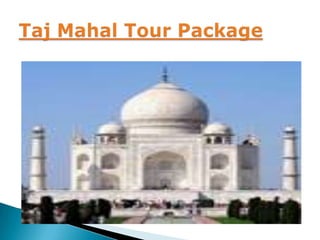 TajMahal Tour Package 