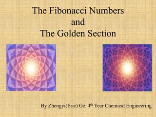 The Fibonacci Numbers
and
The Golden Section

By Zhengyi(Eric) Ge 4th Year Chemical Engineering

 