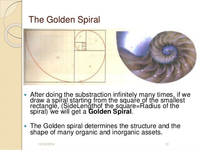 golden-ratio-12-638.jpg?cb=1419431056