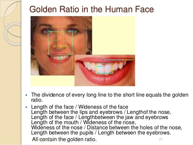 measure face goldenratio