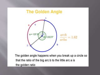 Golden ratio new | PPTX