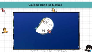 Golden Ratio In Nature