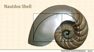 Golden Ratio Shell Example Golden Ratio: Definitions and Applications on Graphical Representations ...