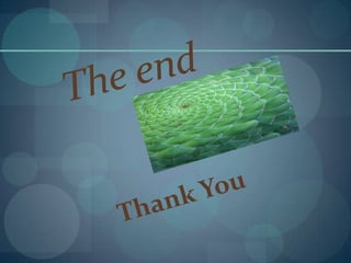 Golden ratio and golden rectangle