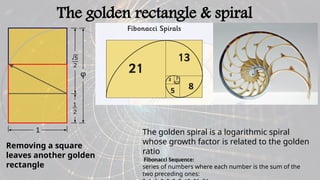 GOLDEN RATIO : divine proportion .pptx