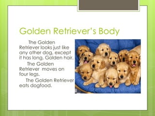 Golden Retriever’s Body
      The Golden
Retriever looks just like
any other dog, except
it has long, Golden hair.
     The Golden
Retriever moves on
four legs.
    The Golden Retriever
eats dogfood.
 