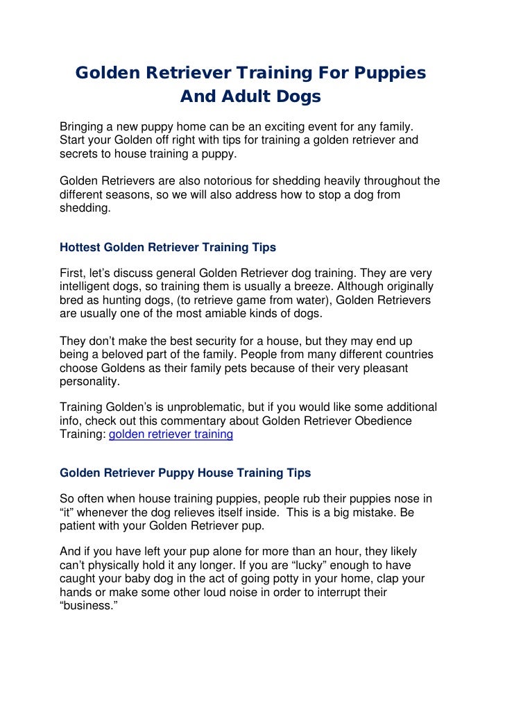 golden retriever trained puppies