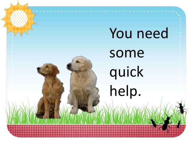 golden retriever back problems golden retriever problems who else wants to the best golden retriever back problems golden retriever problems who else wants to the best