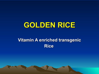 GOLDEN RICE Vitamin A enriched transgenic Rice  